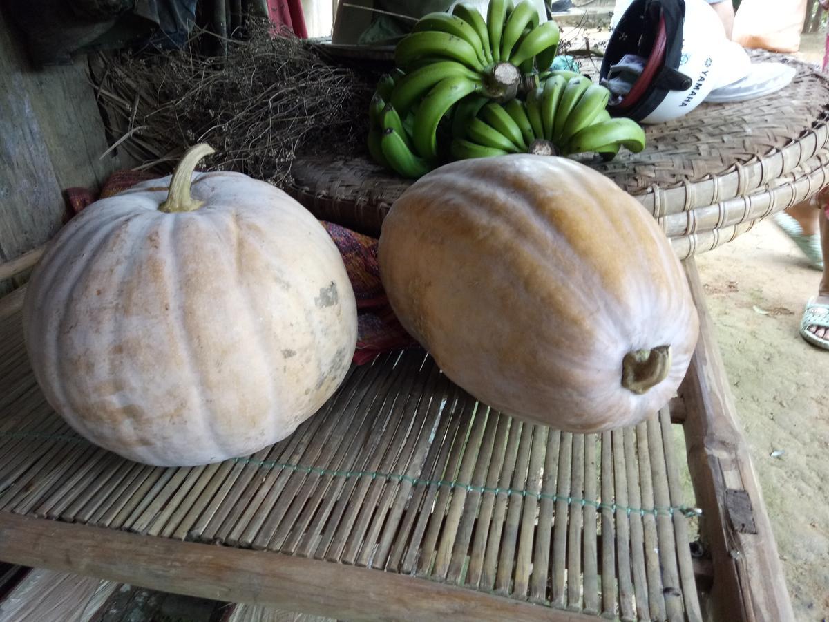 Phong Nha Rice Field Homestay المظهر الخارجي الصورة