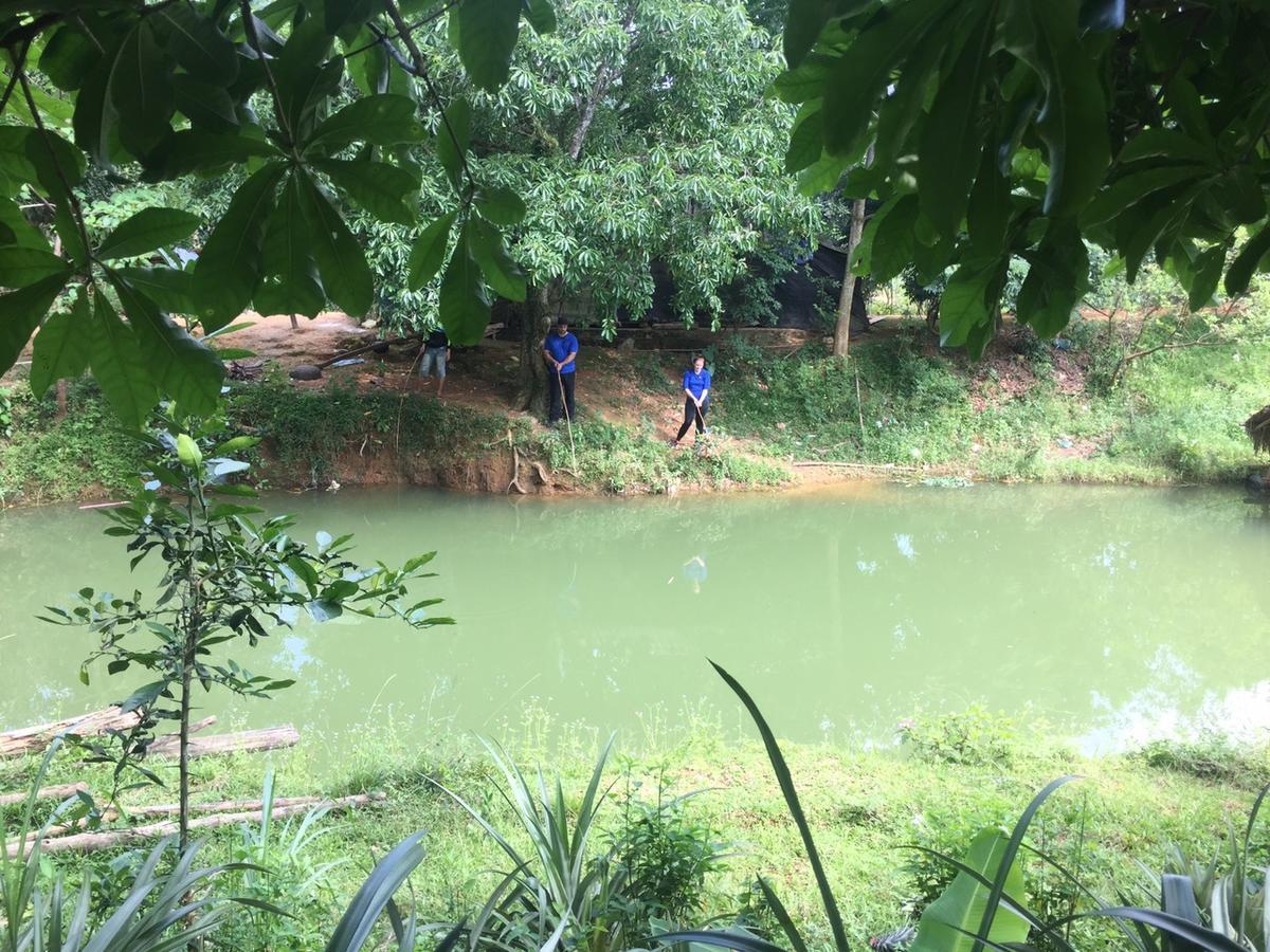 Phong Nha Rice Field Homestay المظهر الخارجي الصورة