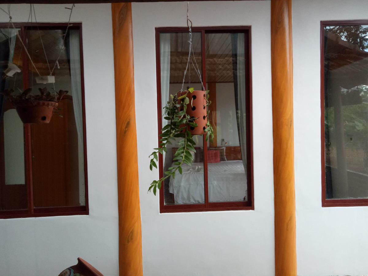 Phong Nha Rice Field Homestay المظهر الخارجي الصورة