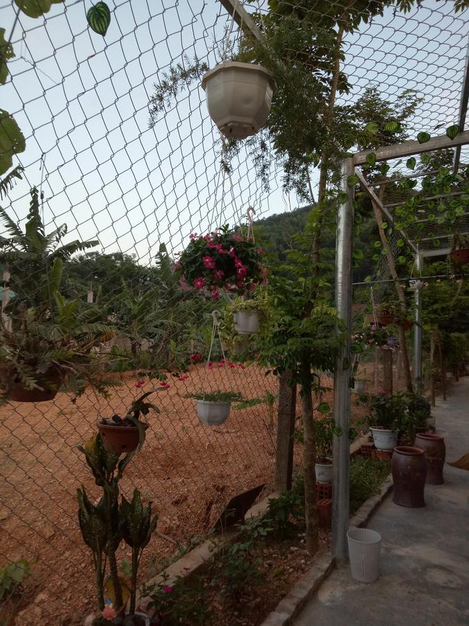 Phong Nha Rice Field Homestay المظهر الخارجي الصورة