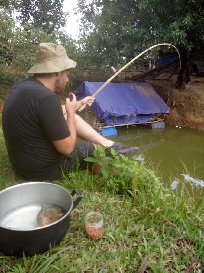 Phong Nha Rice Field Homestay المظهر الخارجي الصورة