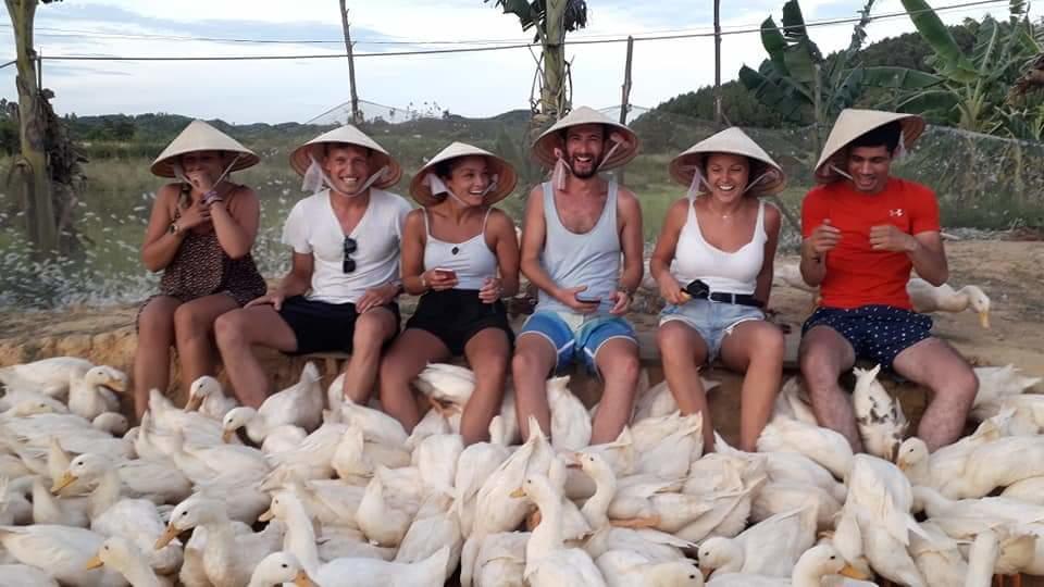 Phong Nha Rice Field Homestay المظهر الخارجي الصورة
