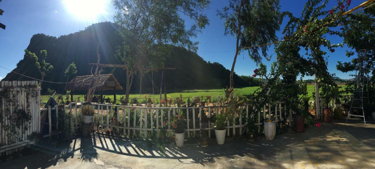 Phong Nha Rice Field Homestay المظهر الخارجي الصورة